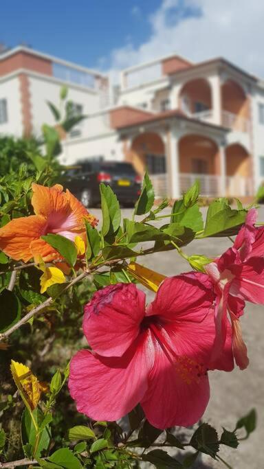 St. George'S Holiday Studio Vacation Of A Lifetime Fontenoy Extérieur photo