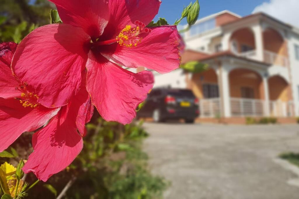 St. George'S Holiday Studio Vacation Of A Lifetime Fontenoy Extérieur photo